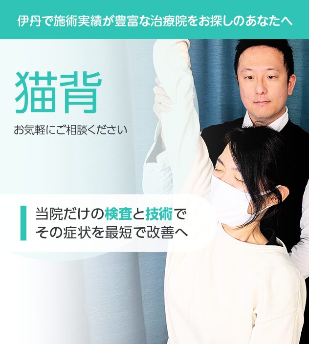 猫背もご相談ください